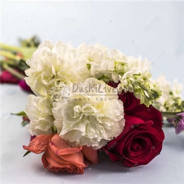 改善记忆的好方法—北京家庭式按摩养生馆插图1北京养生休闲会所_都市减压spa体验-DushiLive都市体验网