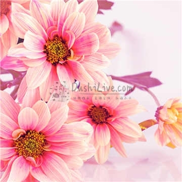 改善记忆的好方法—北京家庭式按摩养生馆插图北京养生休闲会所_都市减压spa体验-DushiLive都市体验网