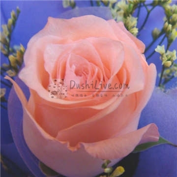 改善记忆的好方法—北京家庭式按摩养生馆插图2北京养生休闲会所_都市减压spa体验-DushiLive都市体验网