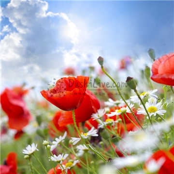 北京养生spa网告诉你尾椎骨痛如通过养生按摩何缓解插图2北京养生休闲会所_都市减压spa体验-DushiLive都市体验网