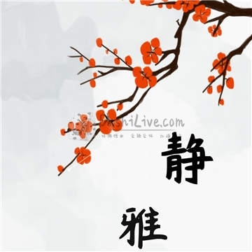 静雅spa插图北京养生休闲会所_都市减压spa体验-DushiLive都市体验网