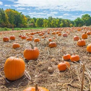 北京养生保健工作室为您介绍胃病患者最有营养的饮食插图2北京养生休闲会所_都市减压spa体验-DushiLive都市体验网