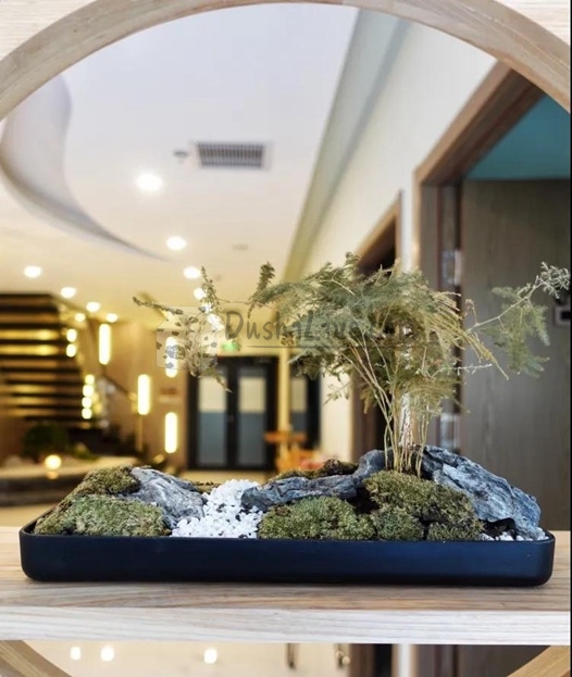 北京保健按摩让你轻轻松松正骨–水墨Massage&Spa·推拿正骨（东大桥店）插图北京养生休闲会所_都市减压spa体验-DushiLive都市体验网