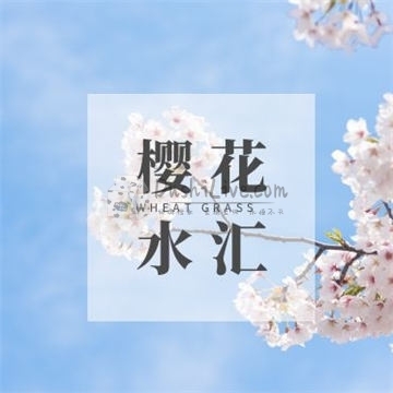 樱花水汇插图北京养生休闲会所_都市减压spa体验-DushiLive都市体验网