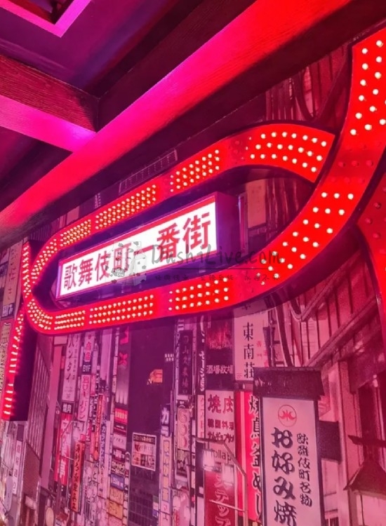 北京养生保健的日式美味，当然非九本莫属啦！插图2北京养生休闲会所_都市减压spa体验-DushiLive都市体验网