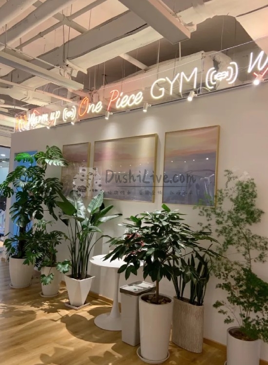 北京保健减压工作室探店-OP健身生活馆插图北京养生休闲会所_都市减压spa体验-DushiLive都市体验网