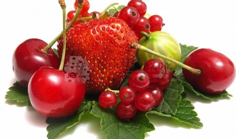 春季养生早餐如何搭配？北京个人家庭式养生馆来教你！插图北京养生休闲会所_都市减压spa体验-DushiLive都市体验网