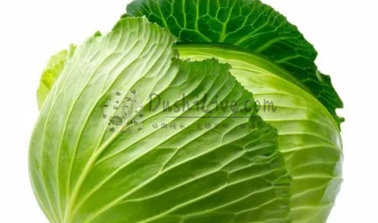 北京家庭养生馆建议大家春季多吃这些食物插图北京养生休闲会所_都市减压spa体验-DushiLive都市体验网