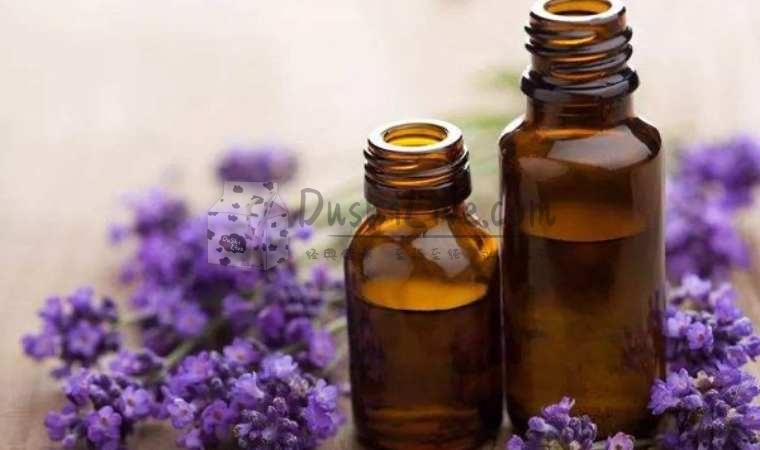 北京按摩放松养生网教你用刮痧来缓解感冒插图1北京养生休闲会所_都市减压spa体验-DushiLive都市体验网