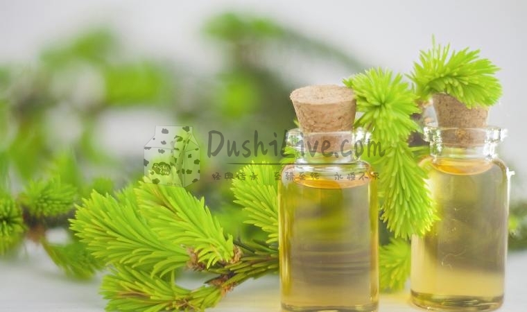 北京男士养生馆提醒中年人发胖可能是慢性病插图1北京养生休闲会所_都市减压spa体验-DushiLive都市体验网