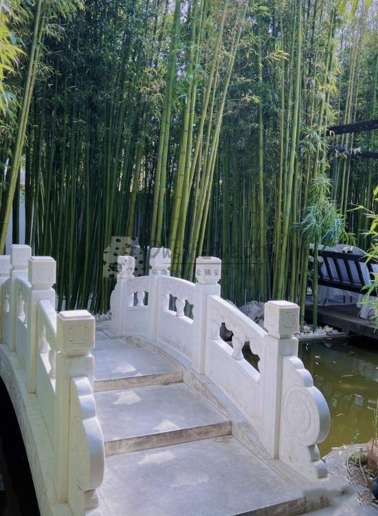 北京个人养生的绝美江南风下午茶—酷湘·江南庭院餐厅插图1北京养生休闲会所_都市减压spa体验-DushiLive都市体验网