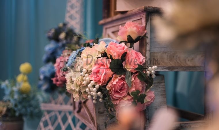 北京个人养生spa工作室都有什么样的服务插图北京养生休闲会所_都市减压spa体验-DushiLive都市体验网