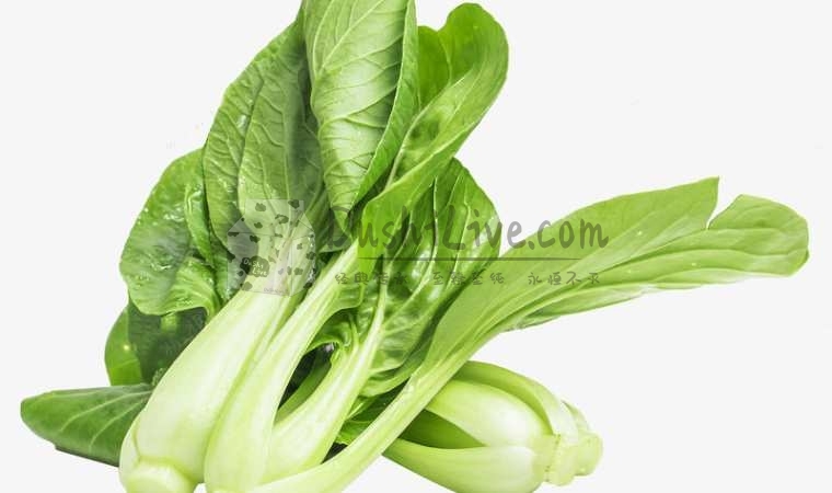 北京思足点评网建议女性朋友多吃这些抗衰的食物插图北京养生休闲会所_都市减压spa体验-DushiLive都市体验网