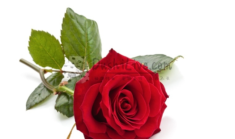 北京个人按摩工作室和个人SPA工作室有什么不同插图2北京养生休闲会所_都市减压spa体验-DushiLive都市体验网