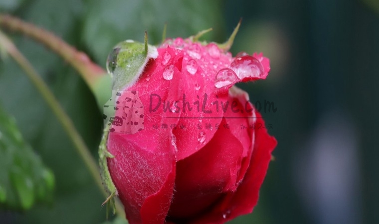 北京西城养生馆有什么高品质的服务插图1北京养生休闲会所_都市减压spa体验-DushiLive都市体验网