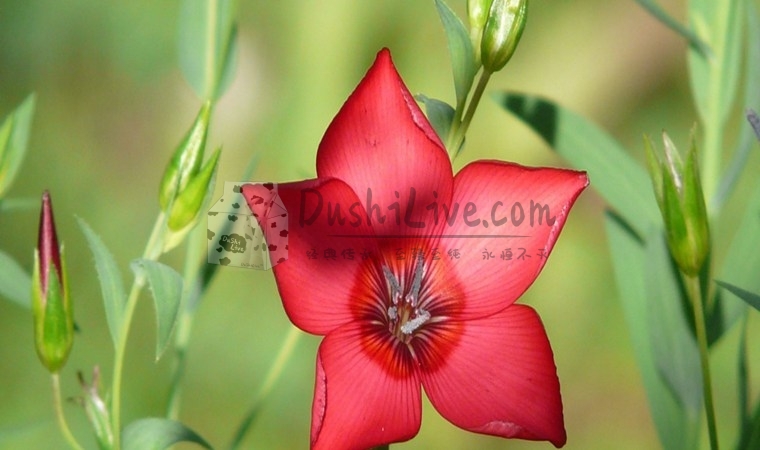 北京西城养生馆有什么高品质的服务插图2北京养生休闲会所_都市减压spa体验-DushiLive都市体验网