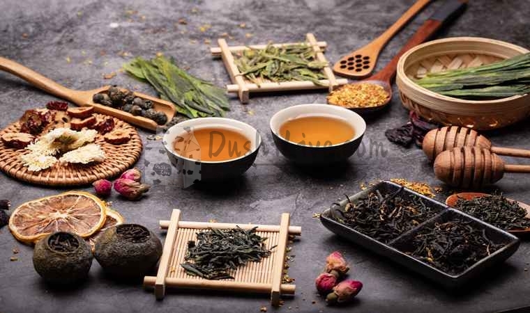 北京养生工作室为什么超越了家庭式会所受到更多人的喜受插图2北京养生休闲会所_都市减压spa体验-DushiLive都市体验网