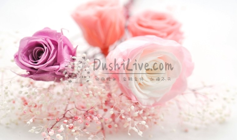 北京思足点评建议上班族用这样的方法醒脑插图2北京养生休闲会所_都市减压spa体验-DushiLive都市体验网