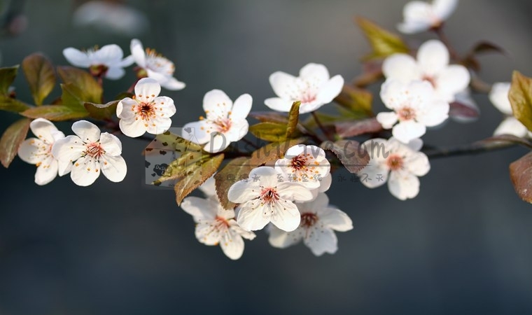 北京男士养生会所，体验专业按摩SPA水疗服务插图2北京养生休闲会所_都市减压spa体验-DushiLive都市体验网