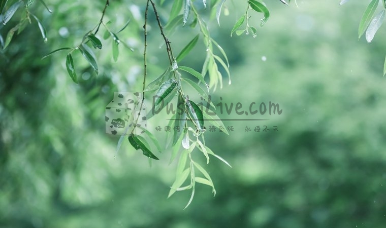 北京男士养生会所，体验专业按摩SPA水疗服务插图北京养生休闲会所_都市减压spa体验-DushiLive都市体验网