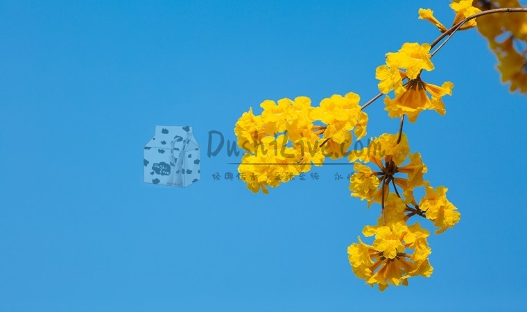 北京男士养生会所，体验专业按摩SPA水疗服务插图1北京养生休闲会所_都市减压spa体验-DushiLive都市体验网