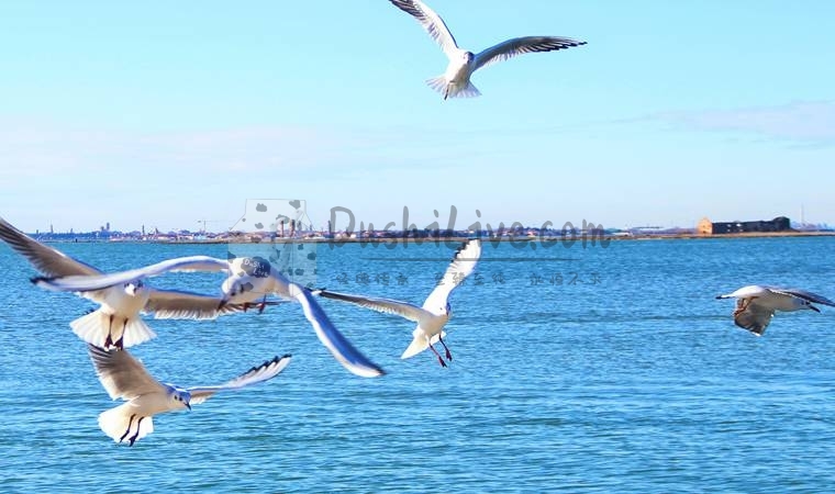 预约北京男士养生馆时需要注意什么细节插图北京养生休闲会所_都市减压spa体验-DushiLive都市体验网