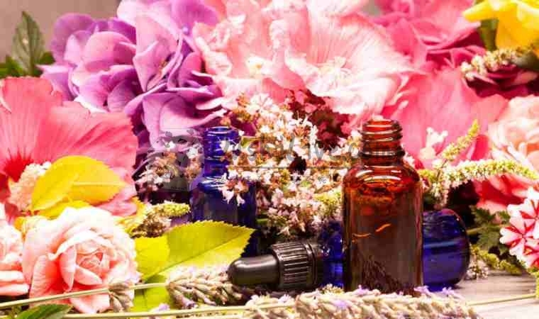 放松身体，舒缓压力：北京个人工作室为您打造最好的养生方案插图2北京养生休闲会所_都市减压spa体验-DushiLive都市体验网