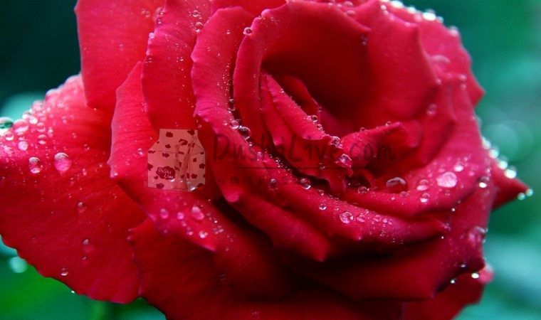 做过热石保健的朋友，北京家庭式养生会所告诉你它的好处插图北京养生休闲会所_都市减压spa体验-DushiLive都市体验网