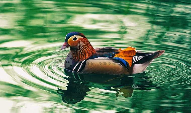 北京个人养生工作室全面升级你的健康生活插图北京养生休闲会所_都市减压spa体验-DushiLive都市体验网