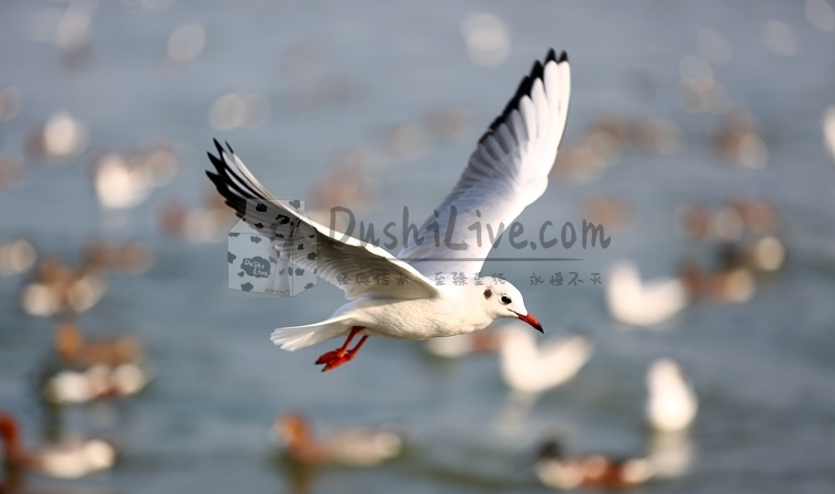 预约北京男士养生馆时需要注意什么细节插图1北京养生休闲会所_都市减压spa体验-DushiLive都市体验网