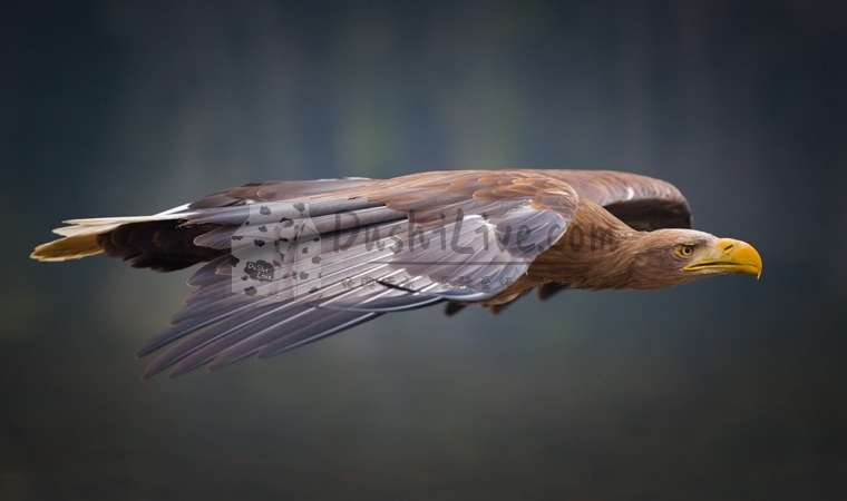预约北京男士养生馆时需要注意什么细节插图2北京养生休闲会所_都市减压spa体验-DushiLive都市体验网
