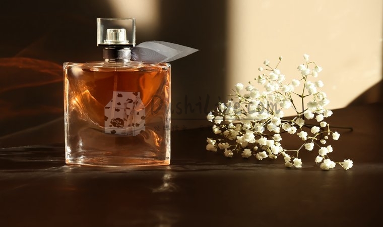 北京个人按摩工作室的专业技术，个性化关怀你的身体插图1北京养生休闲会所_都市减压spa体验-DushiLive都市体验网