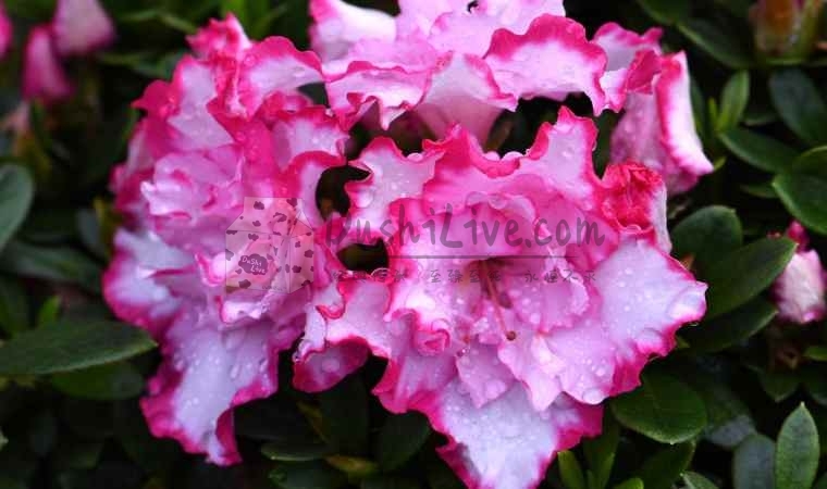 家庭式会所：在家的舒适感受全方位舒缓您的身体插图1北京养生休闲会所_都市减压spa体验-DushiLive都市体验网