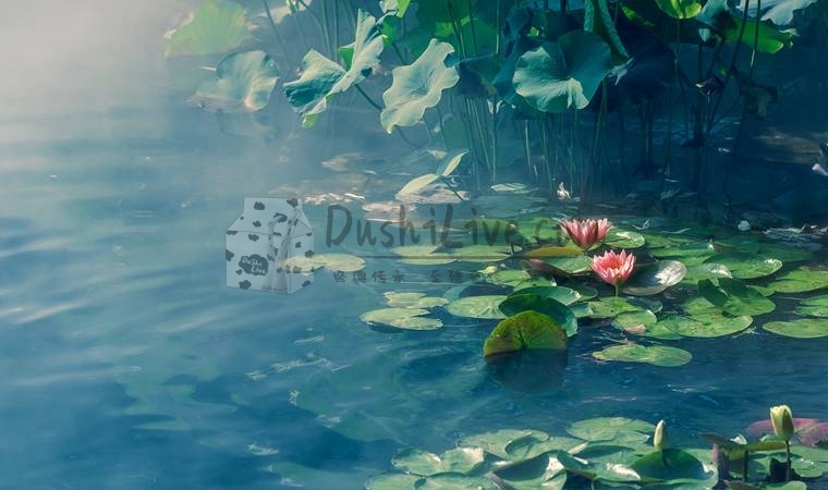 北京个人按摩工作真的可以让你室为所欲为？放飞自我？插图北京养生休闲会所_都市减压spa体验-DushiLive都市体验网