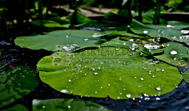 北京个人按摩工作真的可以让你室为所欲为？放飞自我？插图1北京养生休闲会所_都市减压spa体验-DushiLive都市体验网