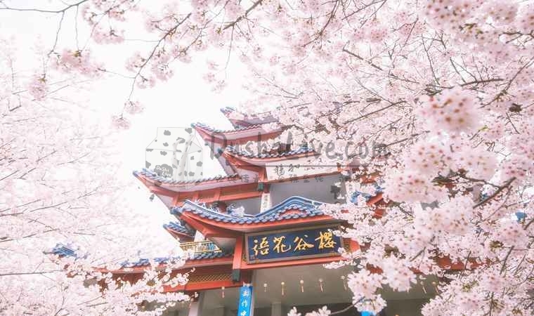 北京养生俱乐部，追求健康与平衡的养生天地插图北京养生休闲会所_都市减压spa体验-DushiLive都市体验网