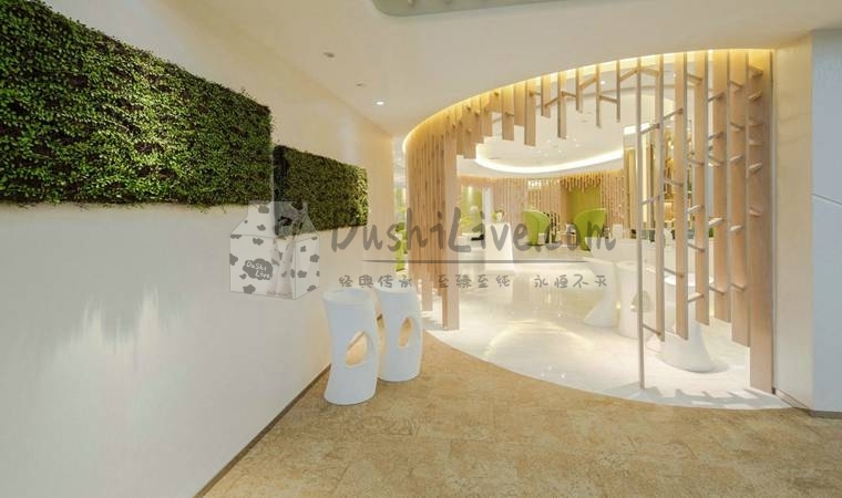 解锁高端会所乐趣：让技师全心全意为您服务的北京高端会所攻略插图北京养生休闲会所_都市减压spa体验-DushiLive都市体验网