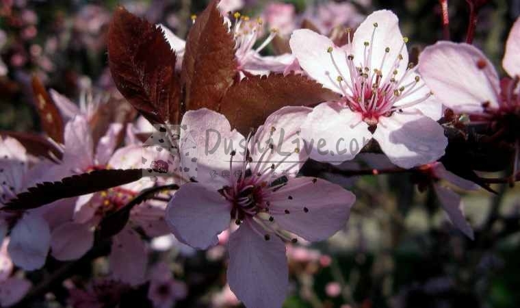 北京会所网分享的春季养生指南：保健秘诀，健康攻略一网打尽插图1北京养生休闲会所_都市减压spa体验-DushiLive都市体验网