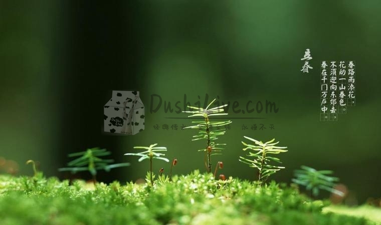 北京保健按摩网分享：立春养生攻略，打造健康春季生活插图2北京养生休闲会所_都市减压spa体验-DushiLive都市体验网