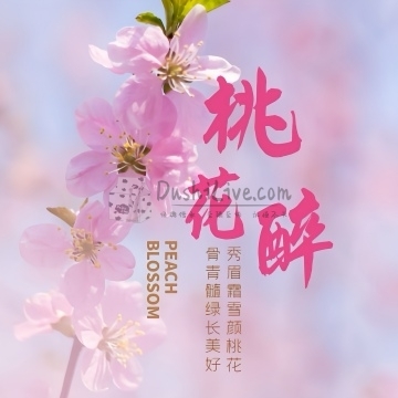 桃花醉SPA会馆插图北京养生休闲会所_都市减压spa体验-DushiLive都市体验网