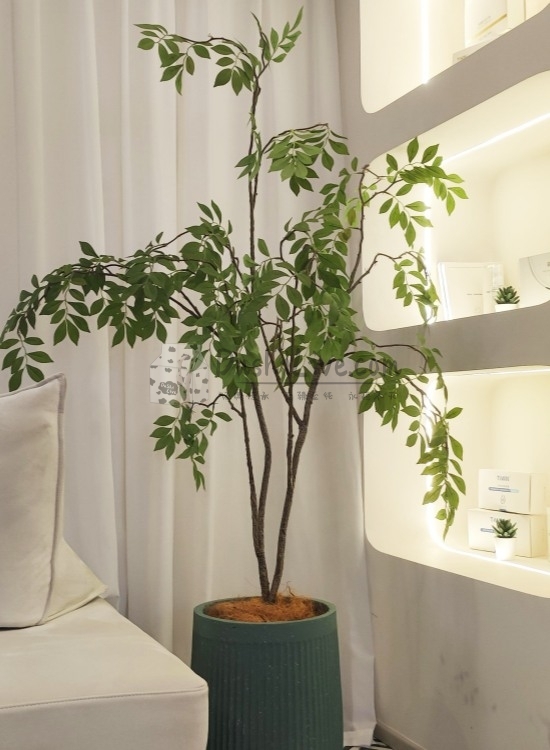 北京养生会所告诉你悄悄变美小秘籍—TIWIN泰医源·科学护肤插图北京养生休闲会所_都市减压spa体验-DushiLive都市体验网