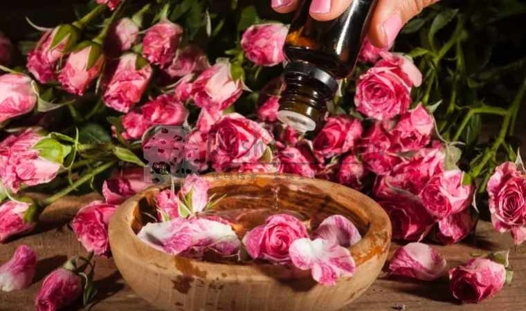 北京男士养生网全攻略：实用调理方法与生活建议解析插图3北京养生休闲会所_都市减压spa体验-DushiLive都市体验网