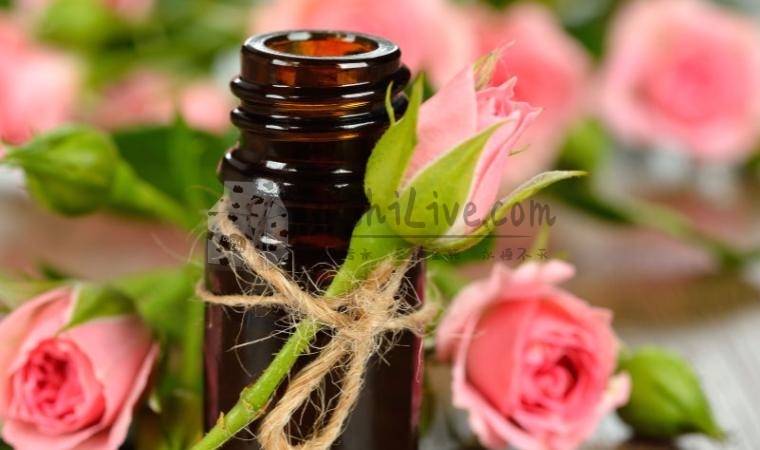 北京男士养生网全攻略：实用调理方法与生活建议解析插图1北京养生休闲会所_都市减压spa体验-DushiLive都市体验网