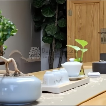 半舍.空中花园茶空间插图北京养生休闲会所_都市减压spa体验-DushiLive都市体验网