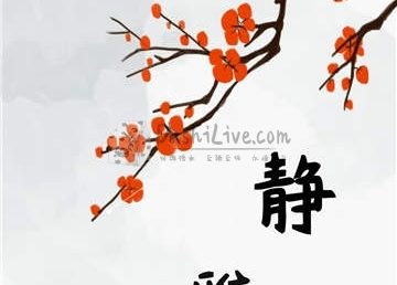 静雅spa