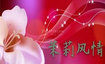 茉莉风情