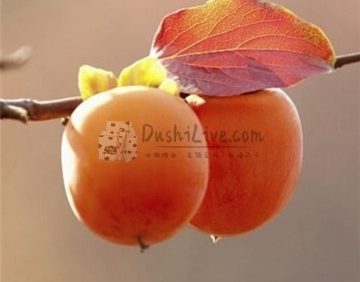 北京个人保健工作室为您推荐的养生水果