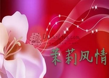 茉莉风情