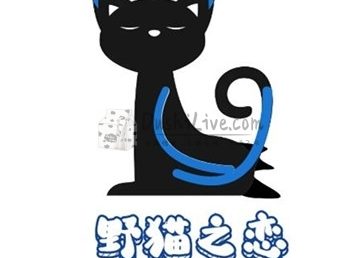 野猫之恋