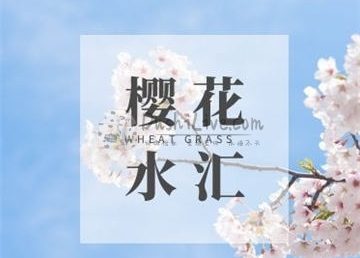 樱花水汇
